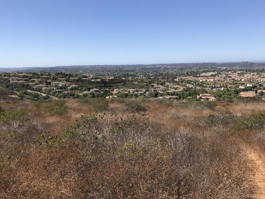 Expansive view of a town in a valley with dry brush foreground, bright sky. - Denk Mountain – Horned Lizard Trail loop from La Costa Canyon High School