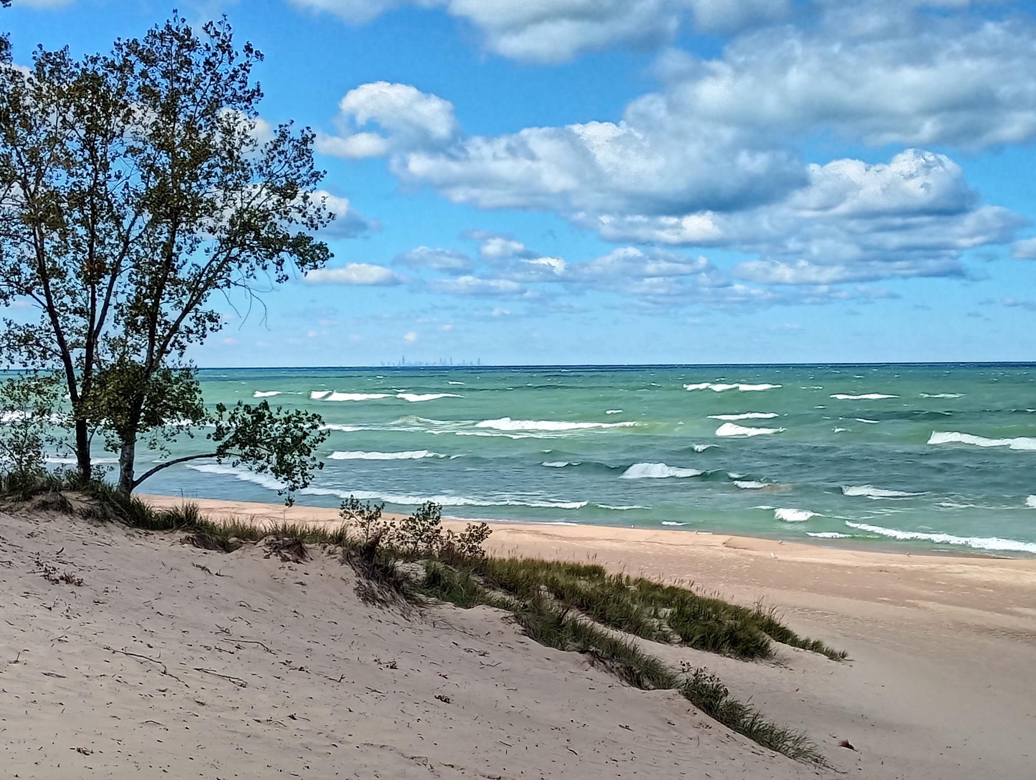 Sandy beach with a tree, green waves, and a cloudy blue sky.