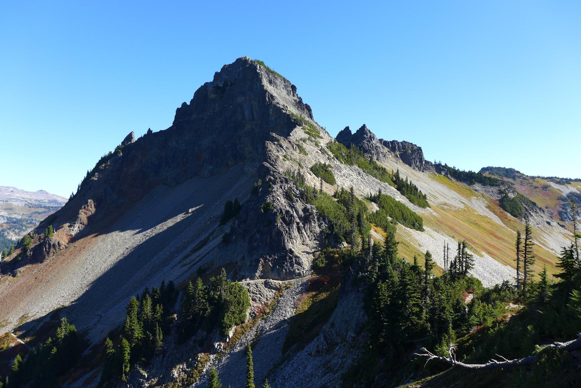 Jagged rocky mountain peak with scattered evergreen trees under a clear blue sky.