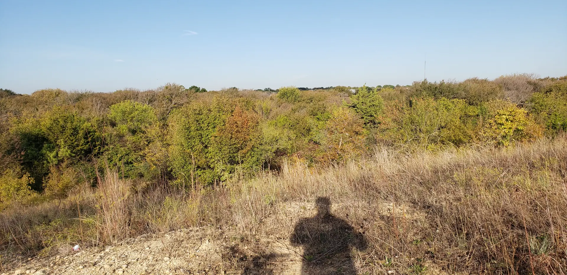 Shadow on a dry hill overlooking a forest under bright, clear skies.