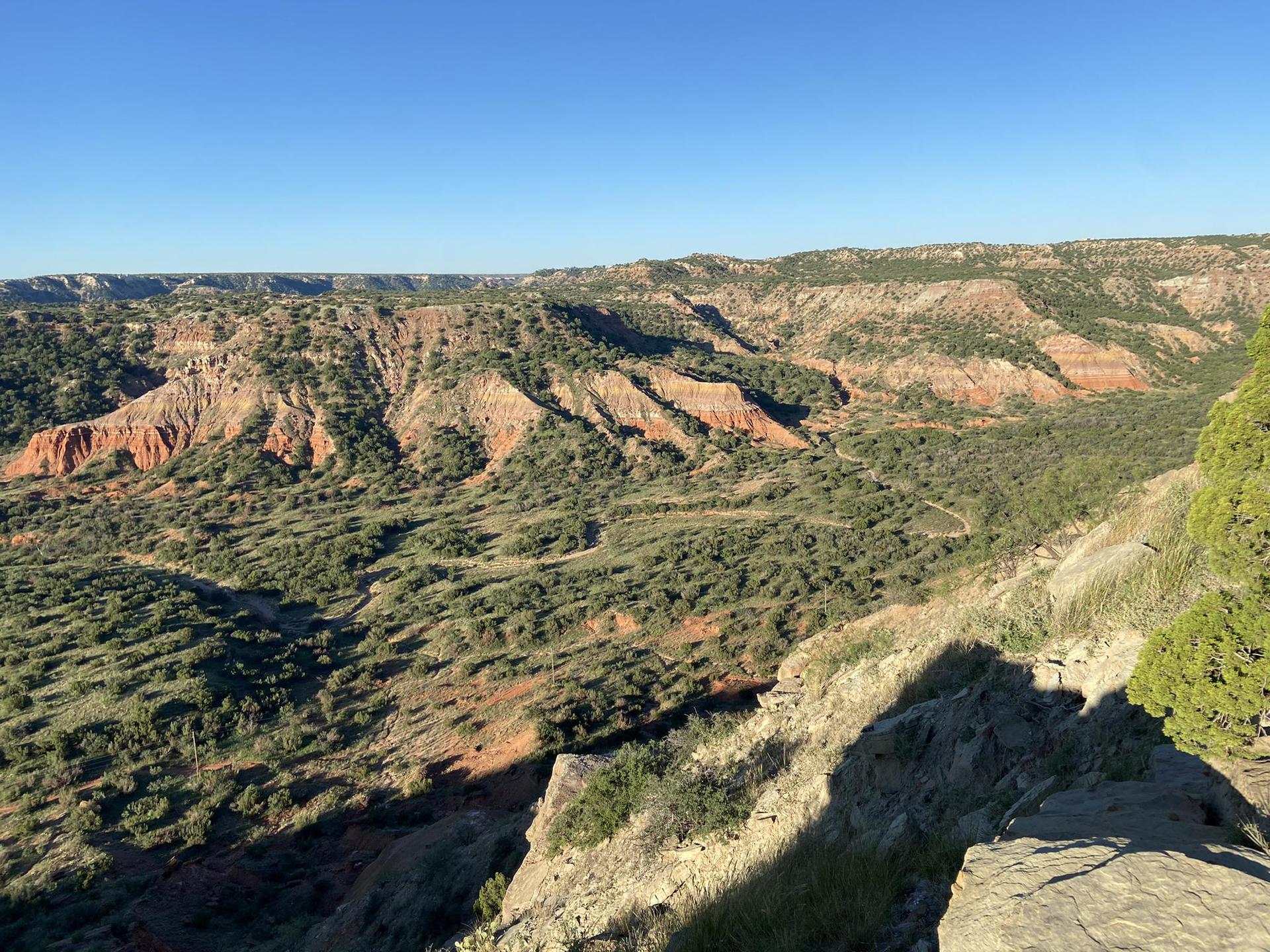 Panoramic view of a rugged canyon with red rocks and green brush on a sunny day.