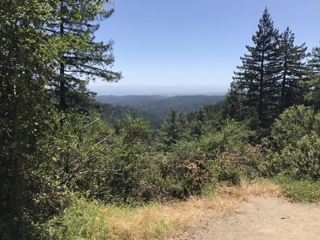 Expansive view of a dense green forest valley under a clear sky.