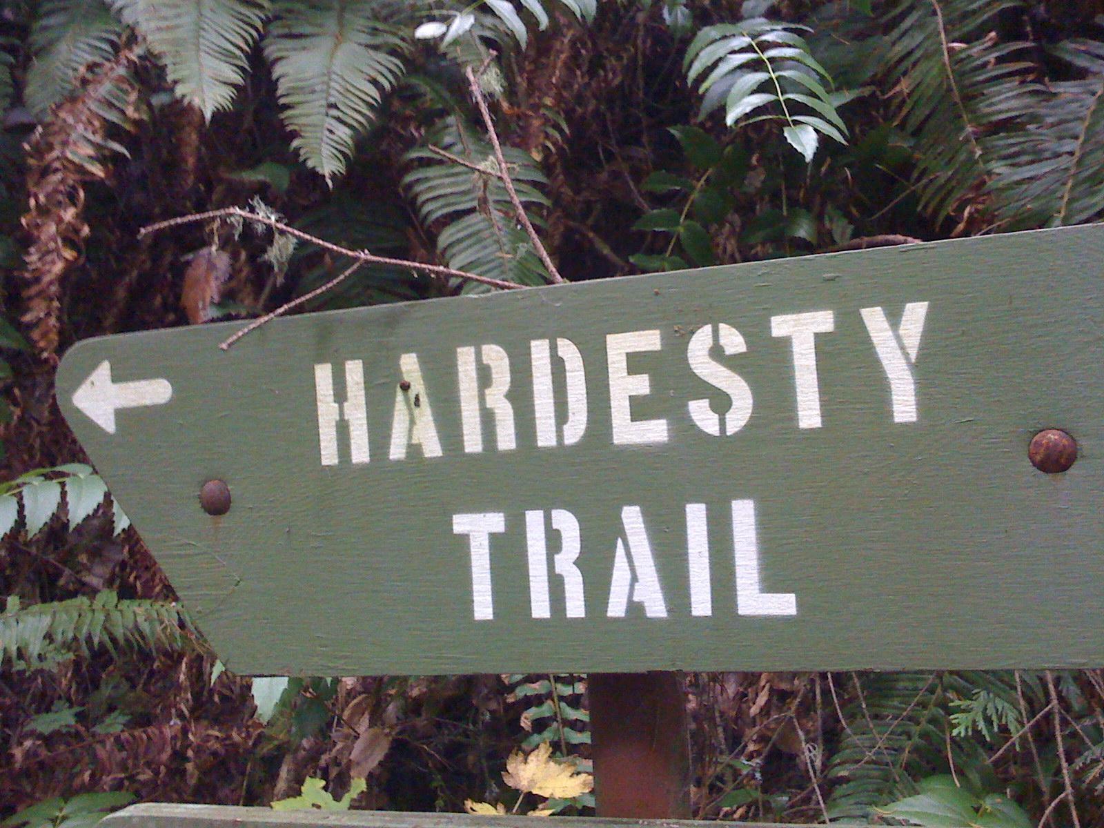Green wooden sign points left, indicating a forest trail.