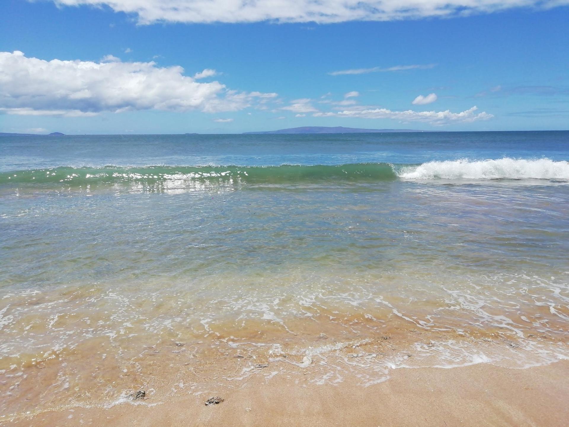 Clear blue ocean waves roll onto a sunlit sandy beach.