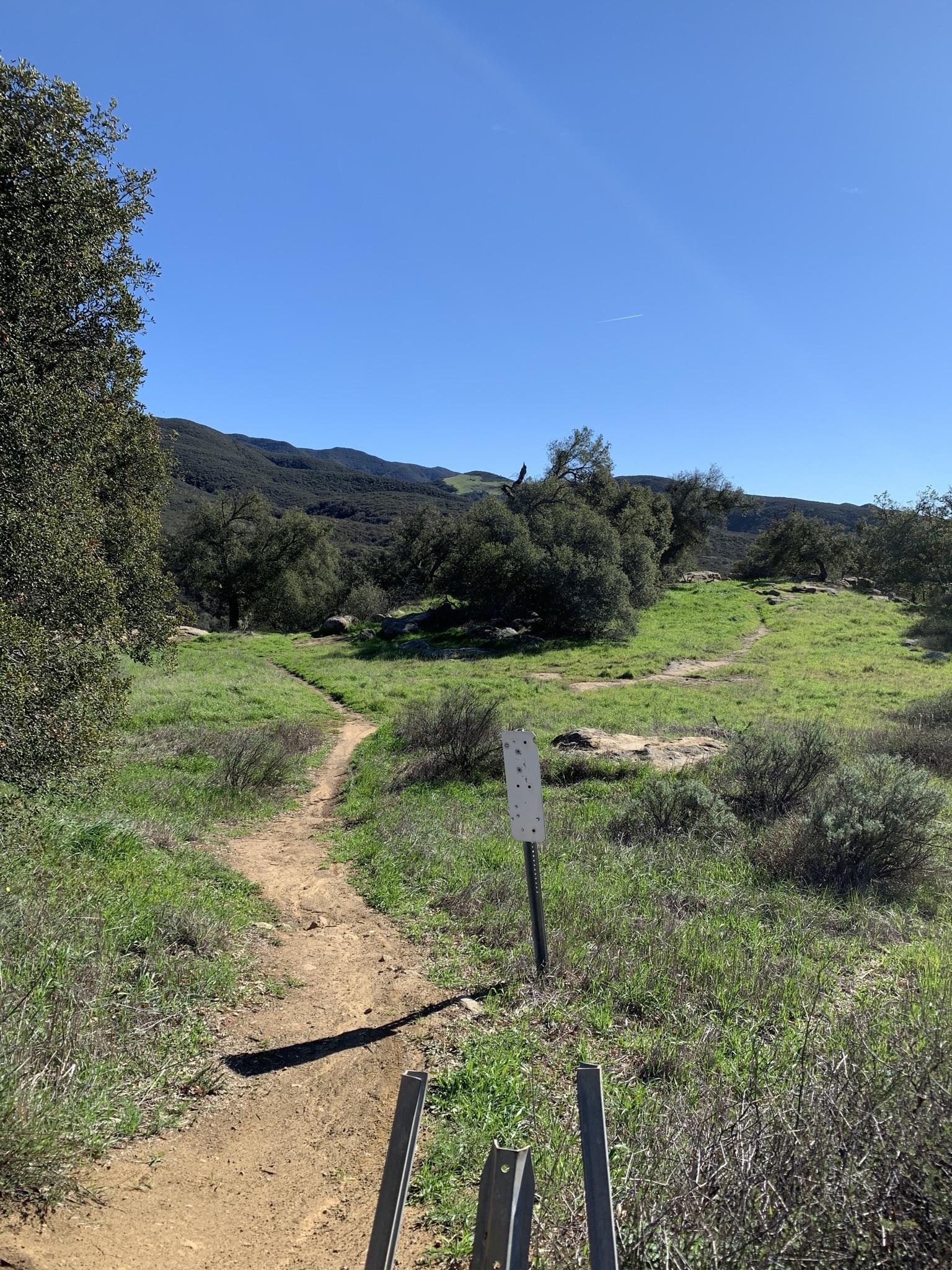 A dirt trail forks in a green, grassy field with distant hills.
