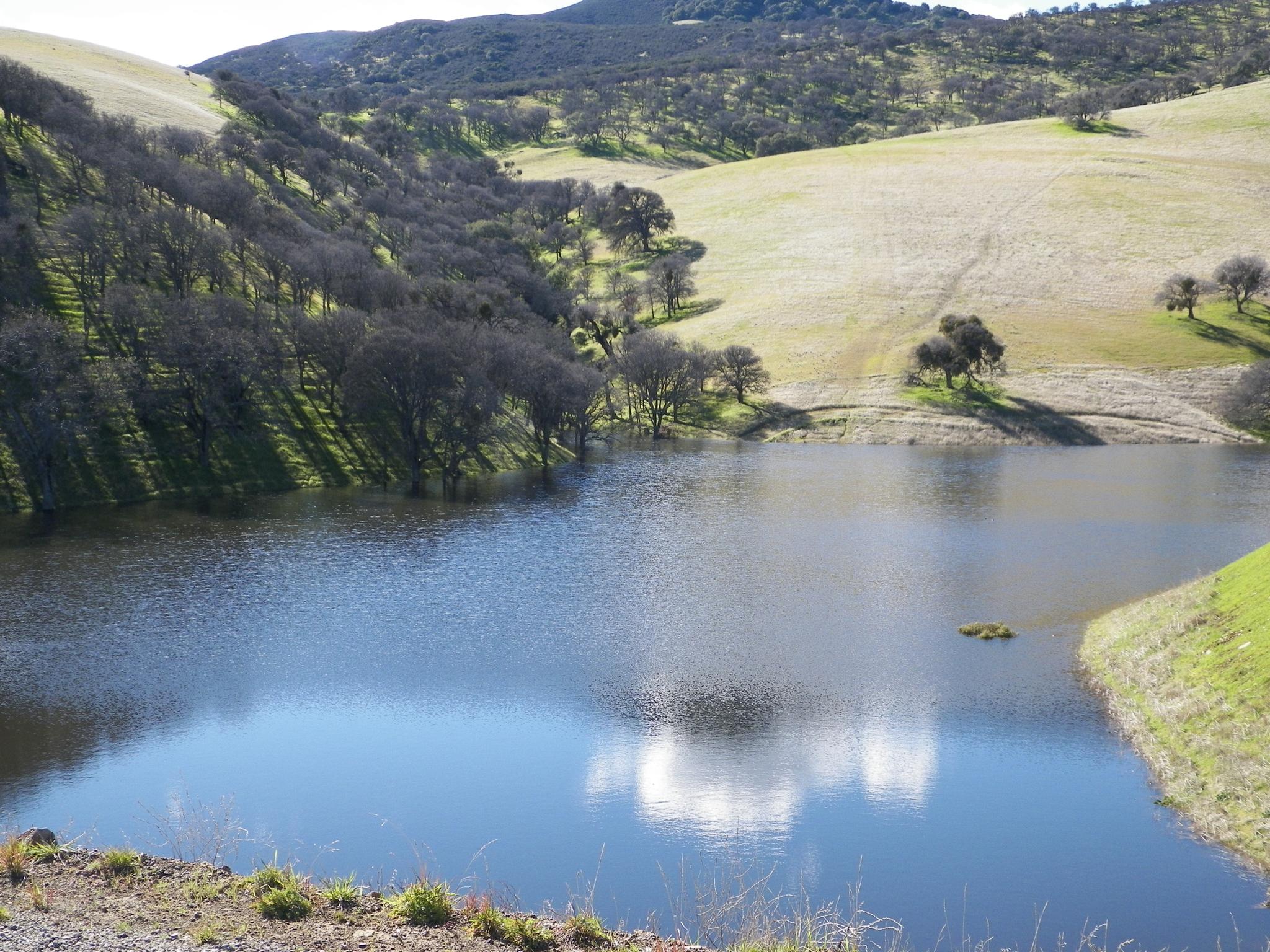 Calm water reflecting sky, surrounded by green and brown hills with trees.