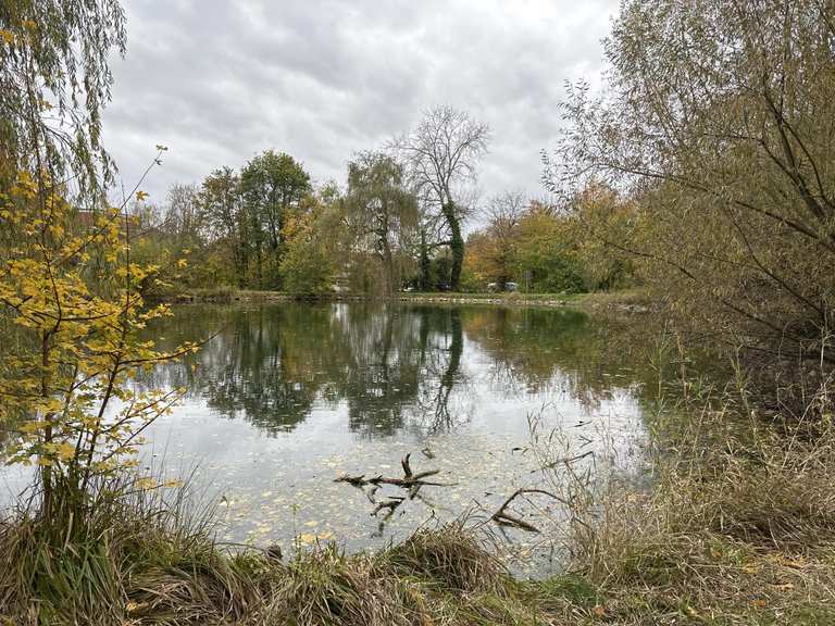 Stiefels Teich Wanderungen und Rundwege komoot