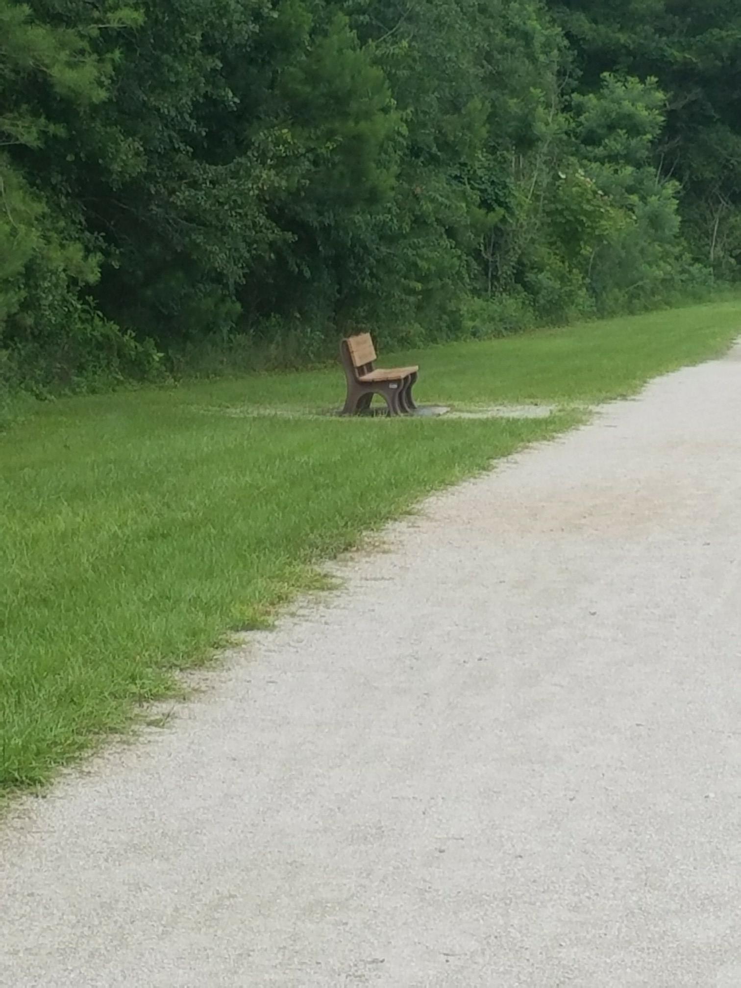 A wooden bench on a grassy verge next to a wide gravel path.