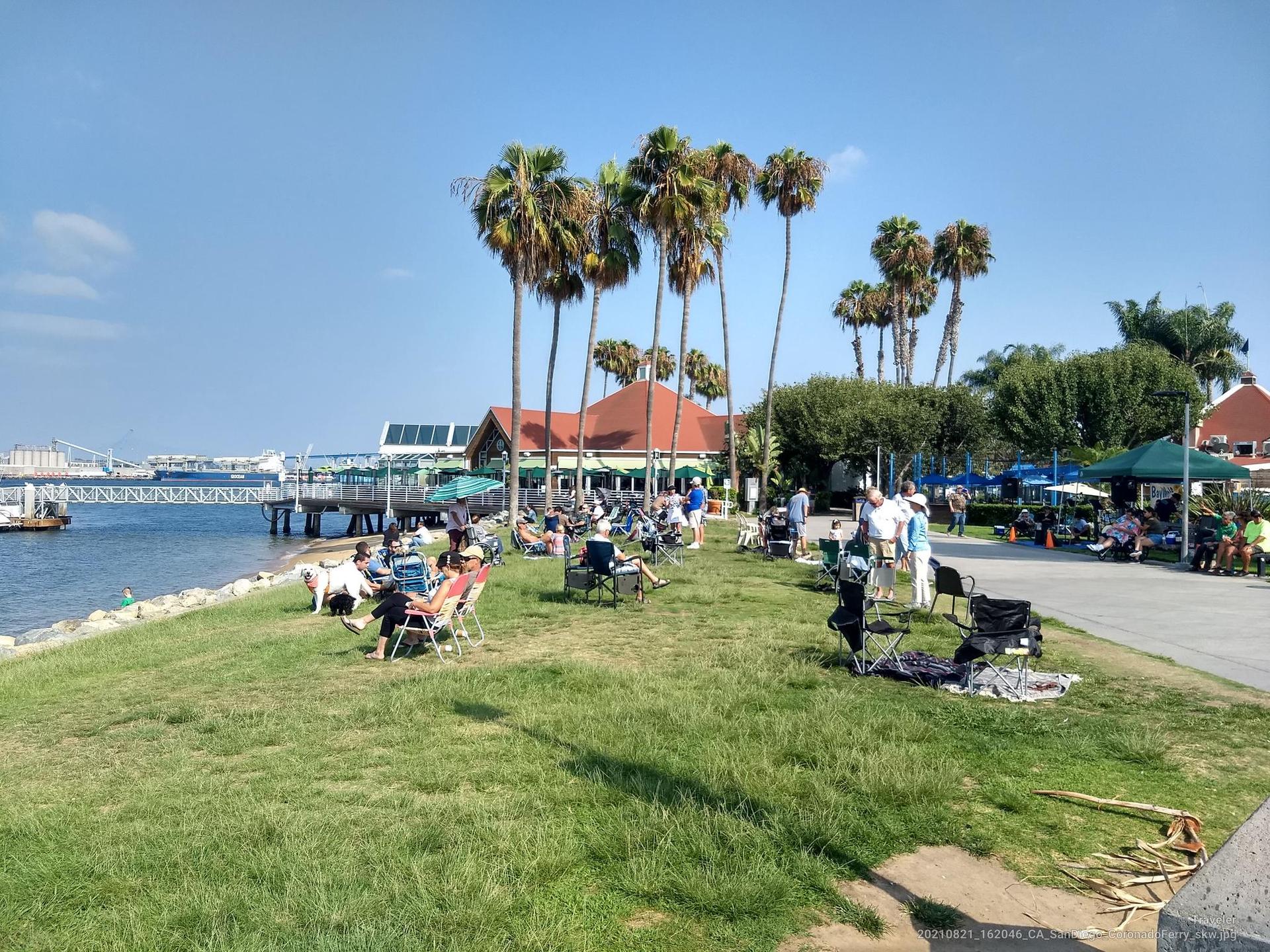 People relaxing on a sunny grassy waterfront with palm trees and buildings.