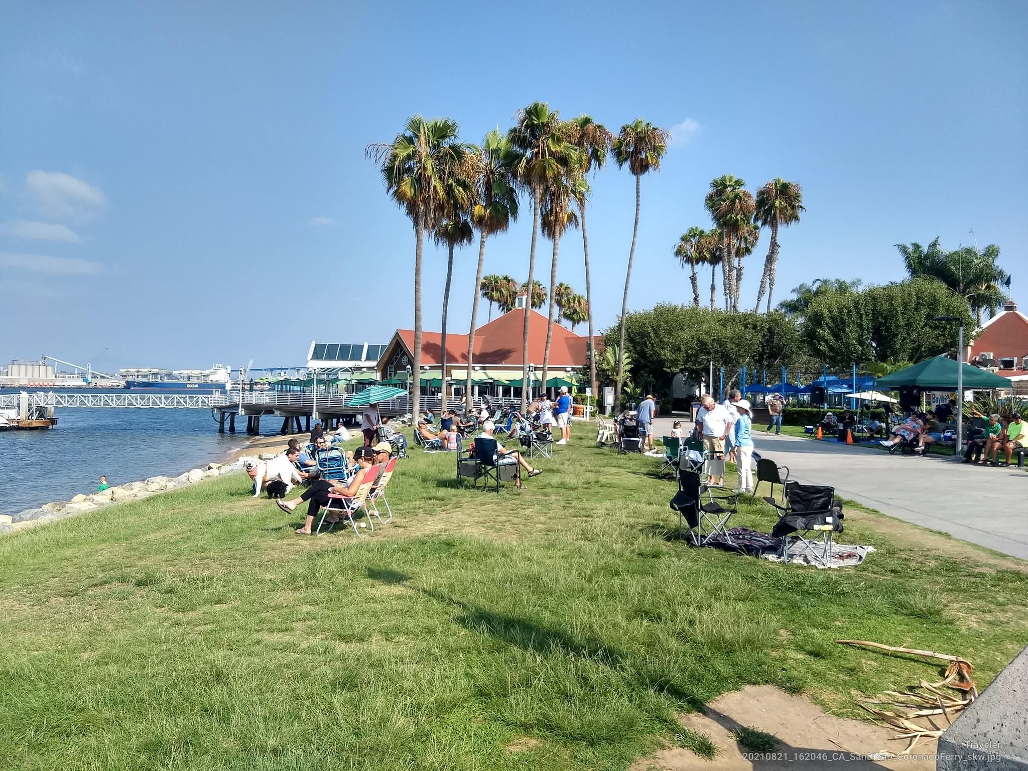 People relaxing on a sunny grassy waterfront with palm trees and buildings. - Ocean Boulevard & Bayside loop