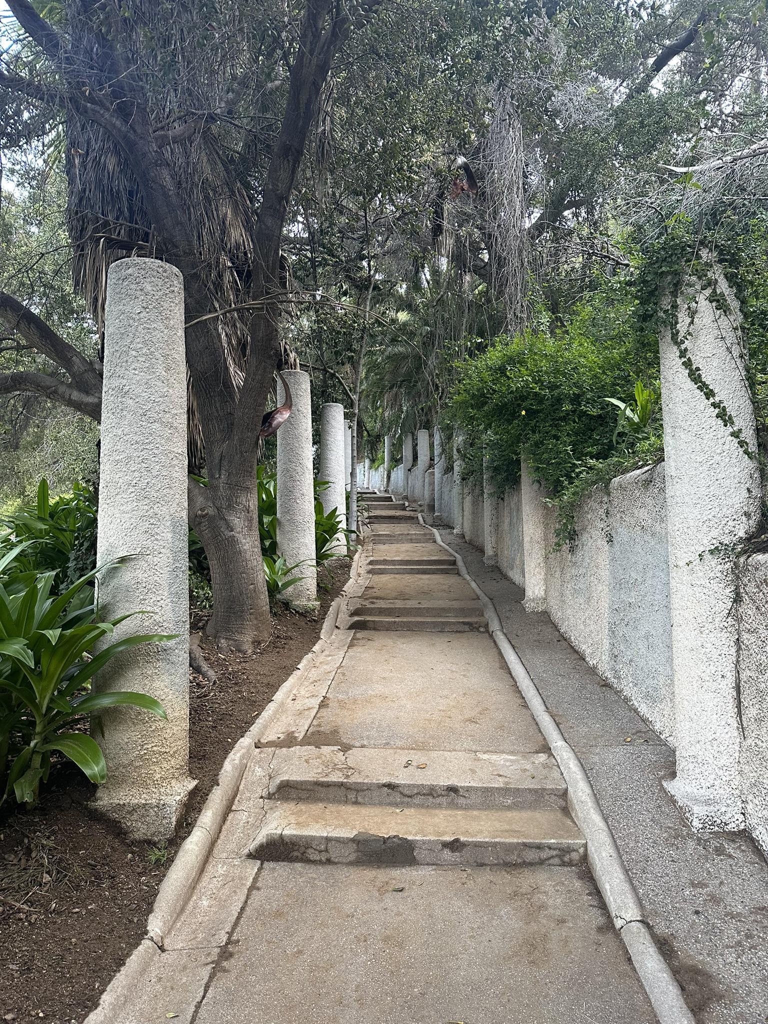 Long concrete staircase with stone pillars and green foliage.