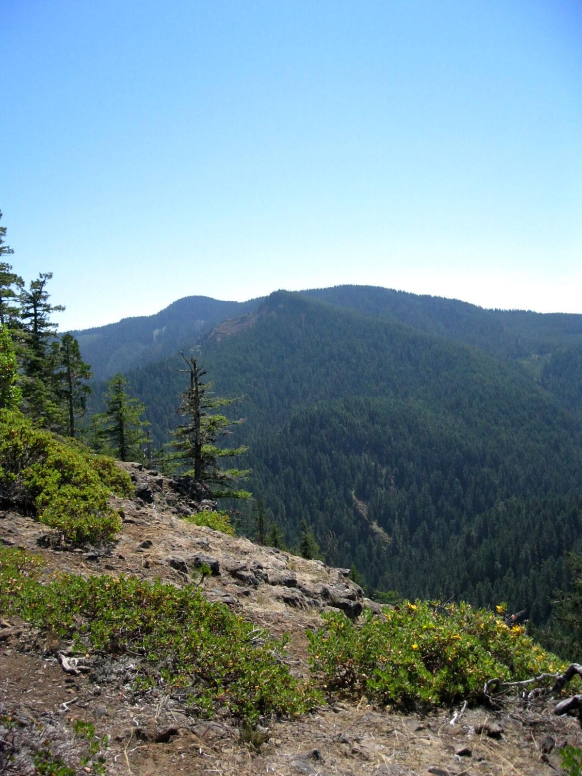 A clear day view of forested mountains from a rocky, vegetated slope.