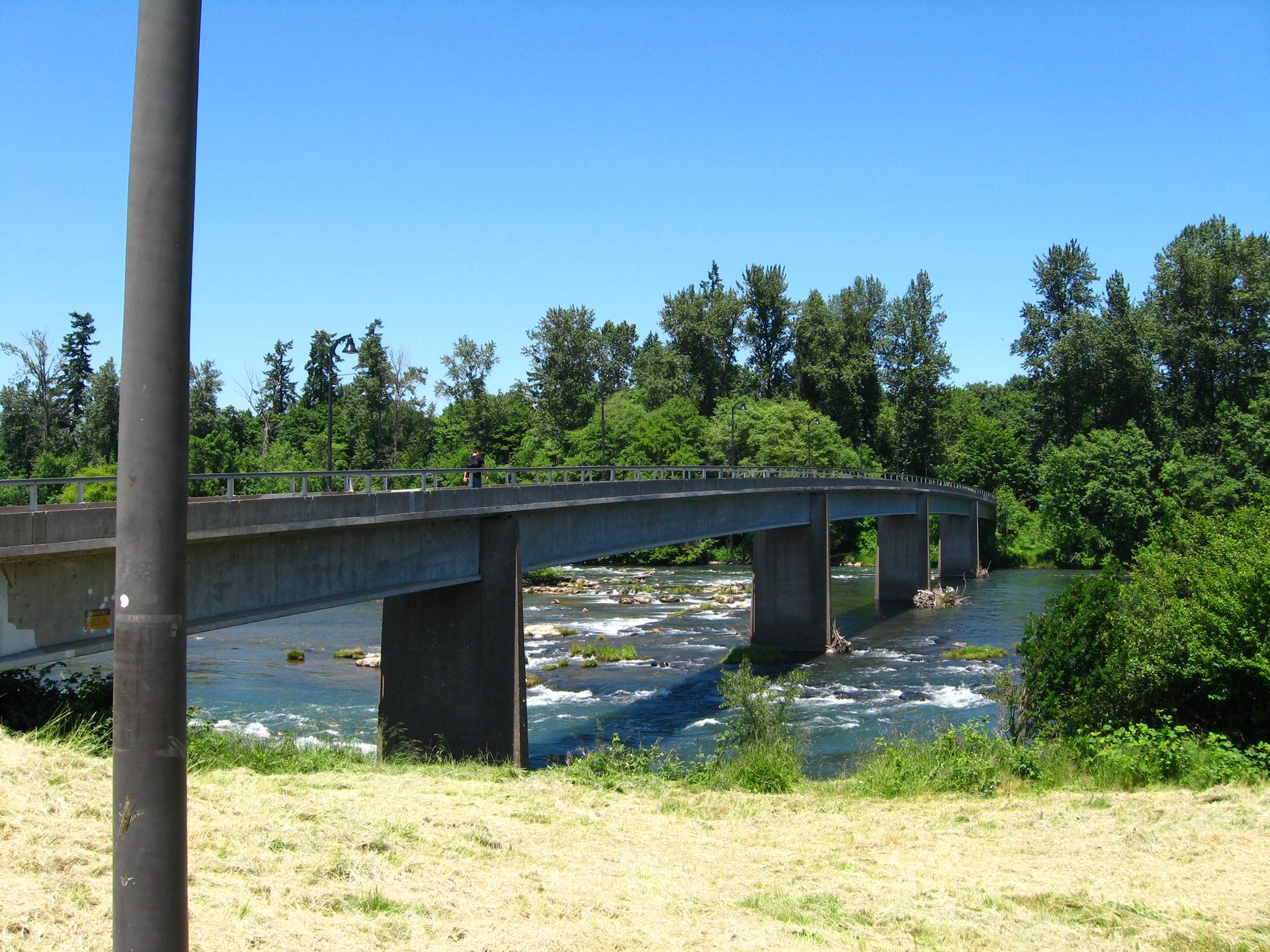 A concrete bridge spans a rocky river, surrounded by lush green trees.