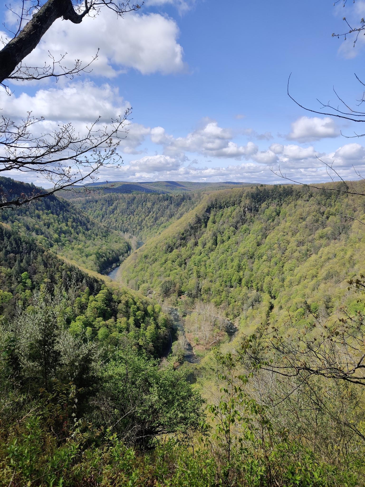 Panoramic view of a vast green valley with a river under a cloudy sky.