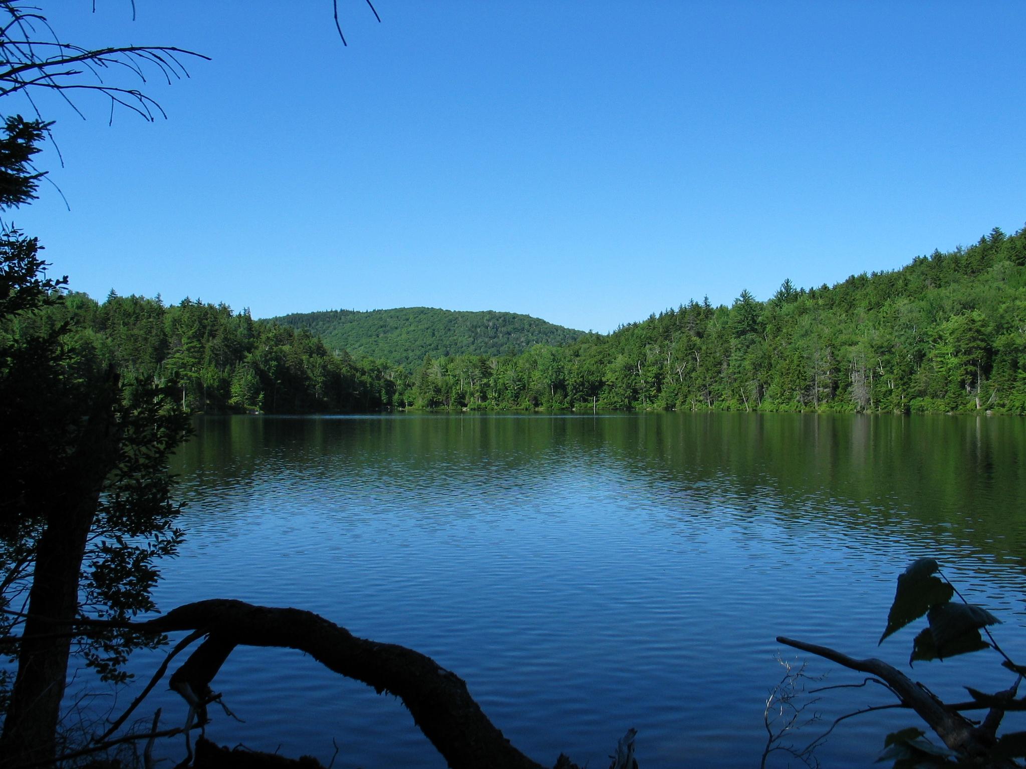 A calm lake reflecting green forested hills under a clear blue sky.