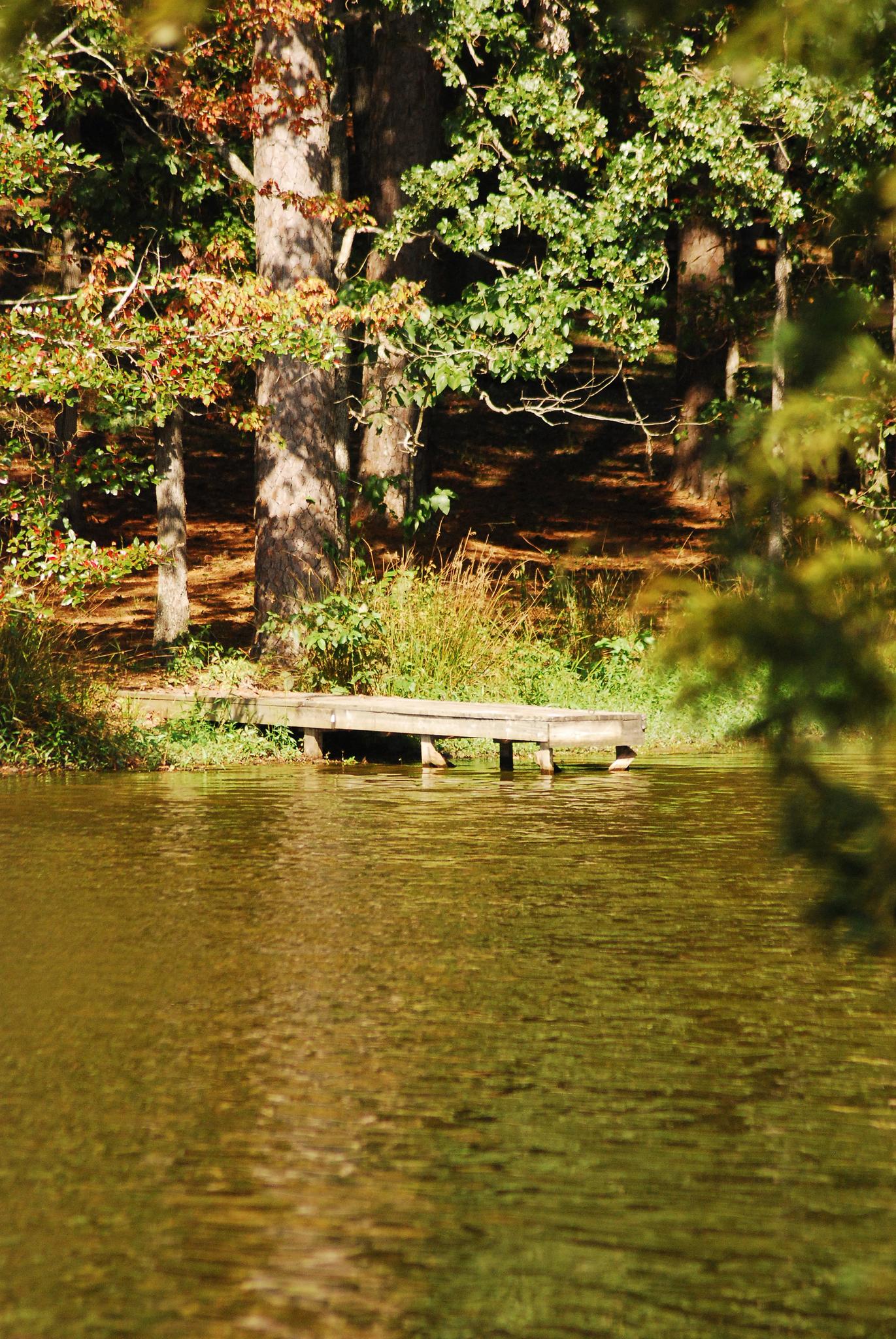 A small wooden dock extends into a calm, green lake with a forested shore.