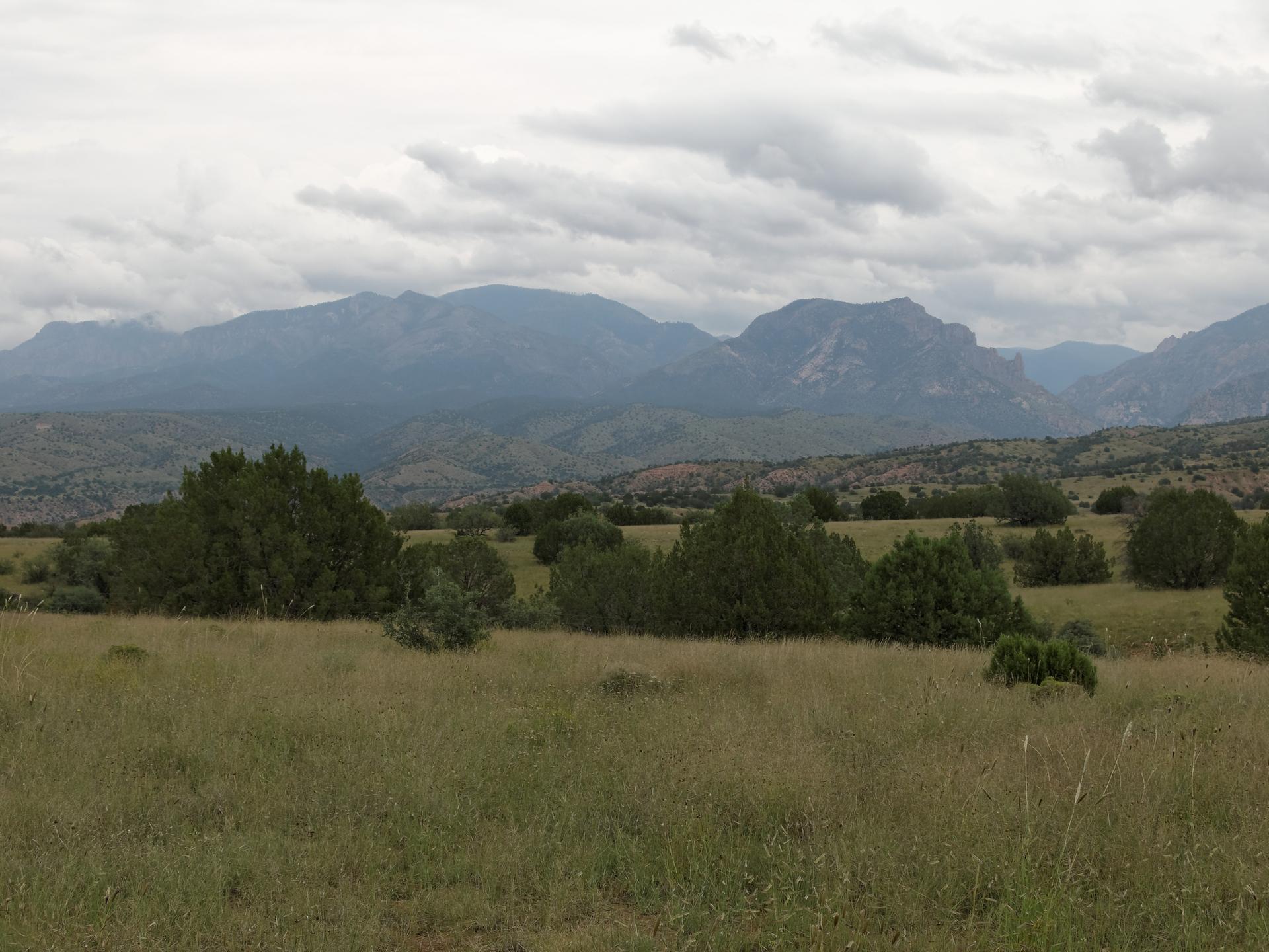 Overcast sky above a grassy field with scattered trees and distant mountains.