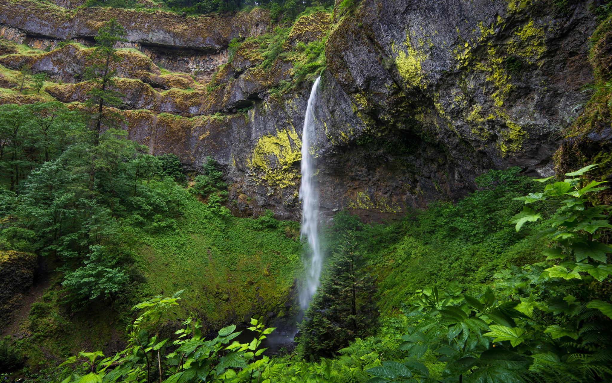 Tall waterfall cascades down a mossy cliff into lush green forest.