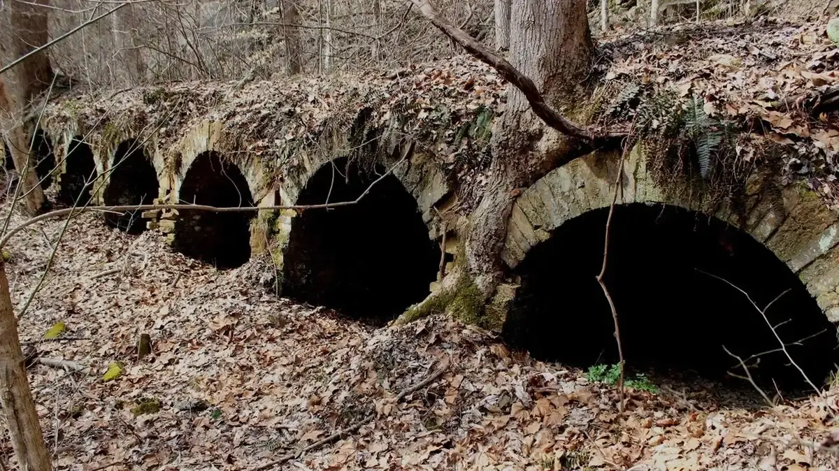 Old stone archways covered in leaves and trees in a dim forest.