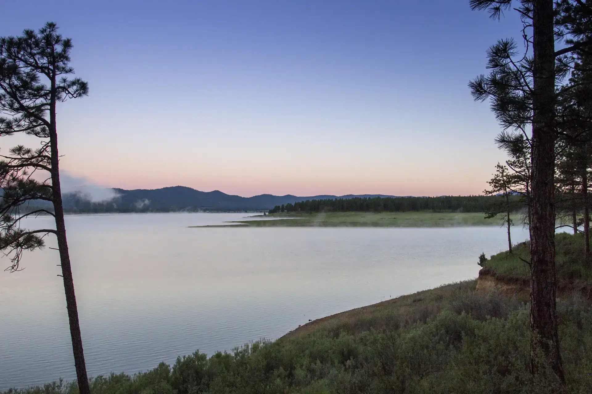 Calm lake at dawn with misty mountains and tall pine trees.