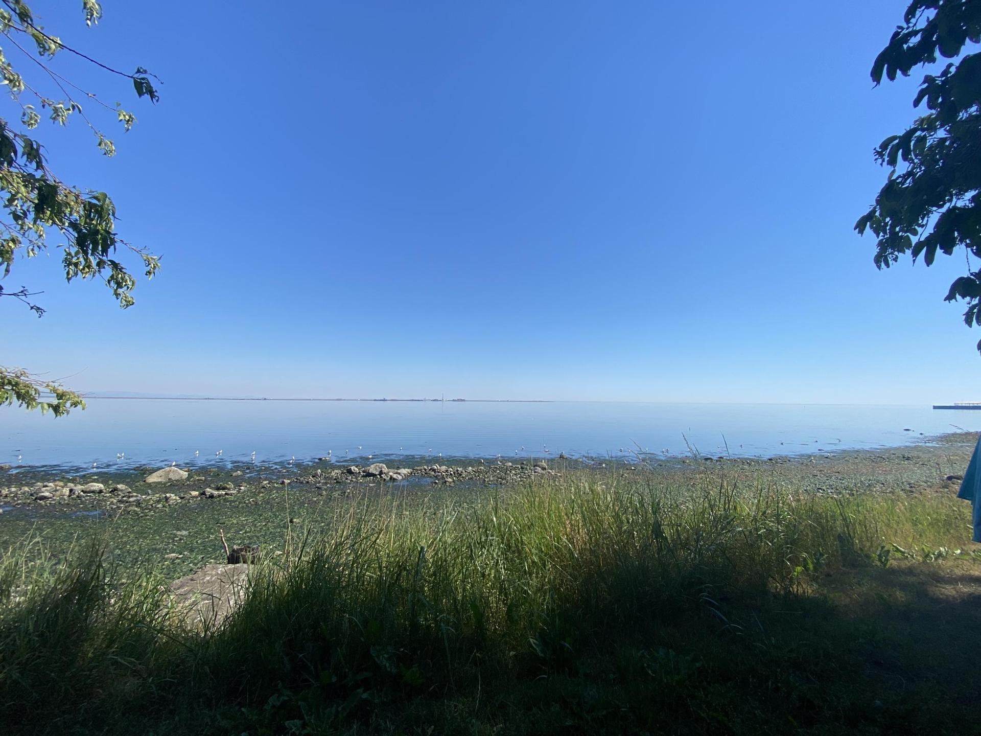 Grassy shoreline meets calm water under a vast, clear blue sky.