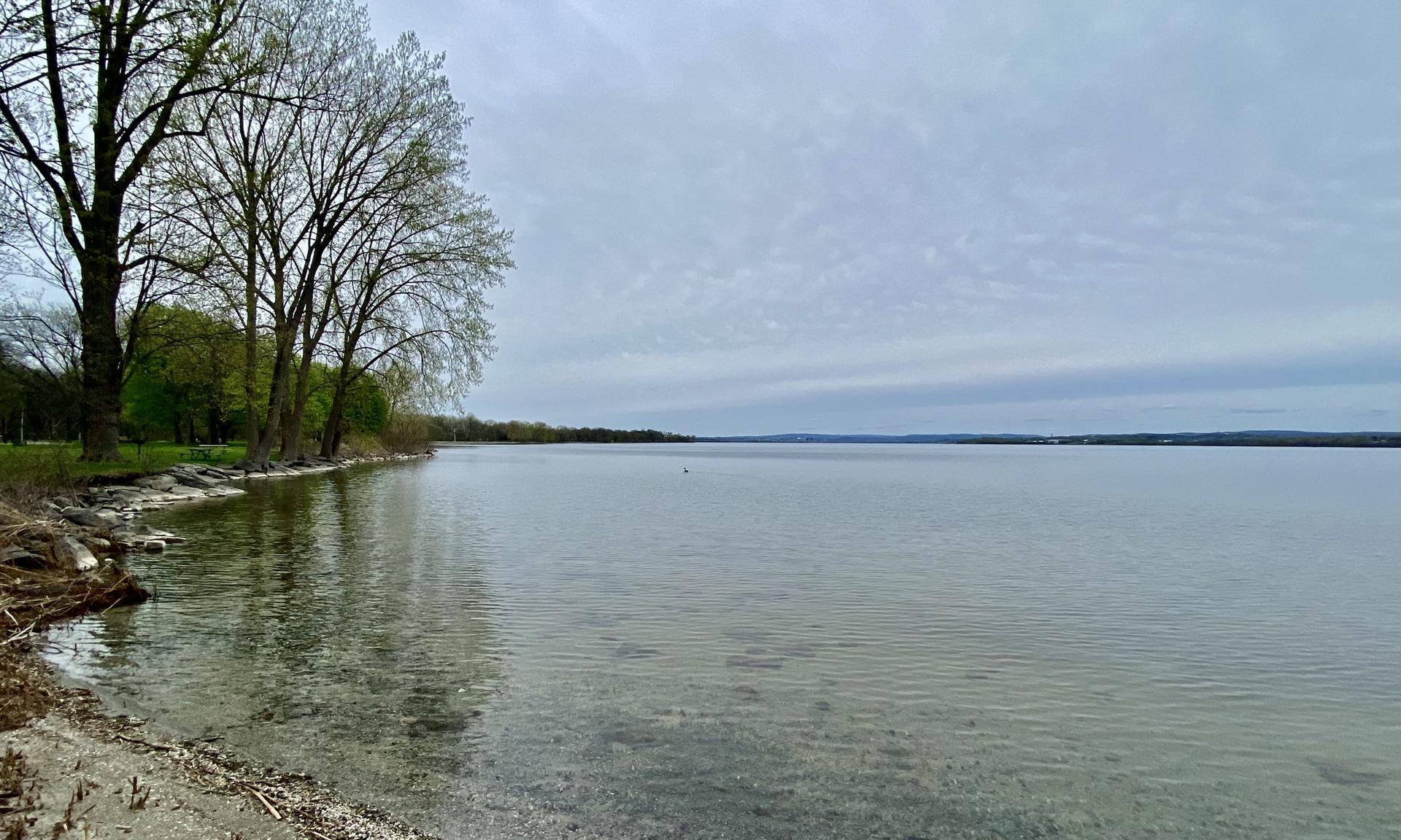 Calm lake with clear water and bare trees along the shore.