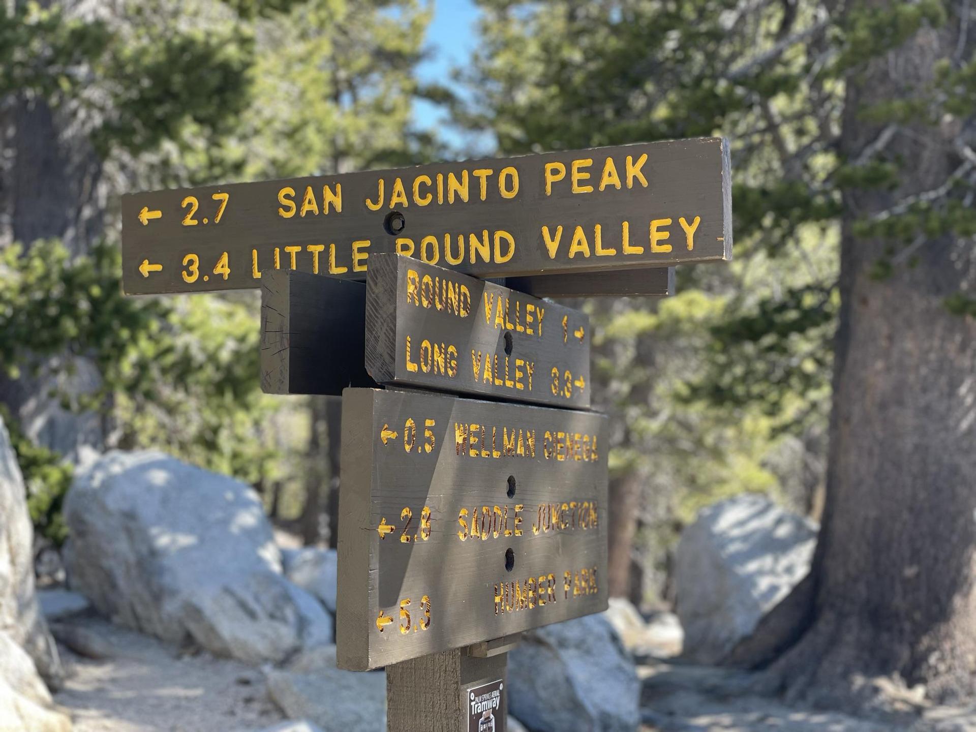 Wooden trail signpost with multiple directional arrows in a sunny, rocky forest.