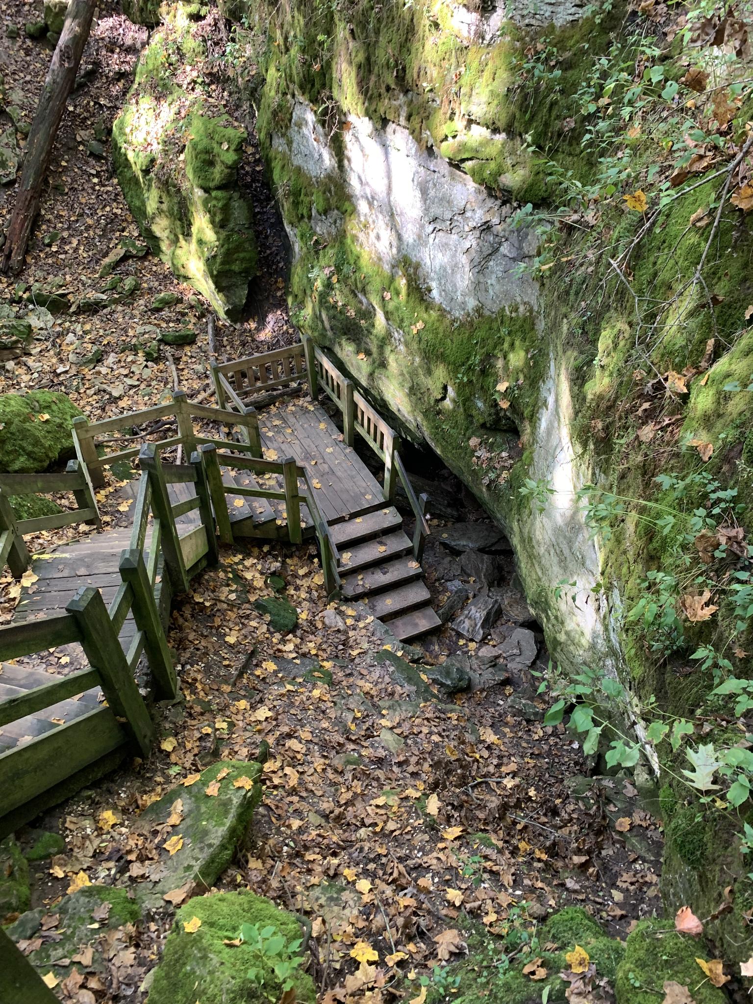 Wooden stairs and platforms descend into a mossy, rocky ravine with fallen leaves.