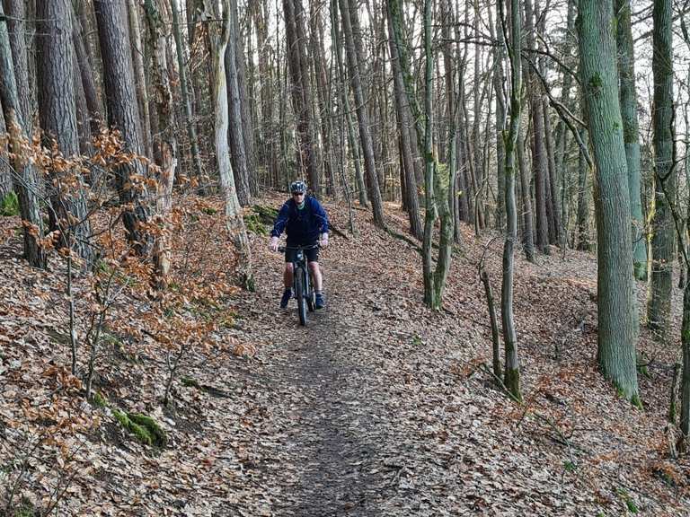 Trail Fränkischer Dünenweg Röthenbach Wetzendorf MountainbikeTouren