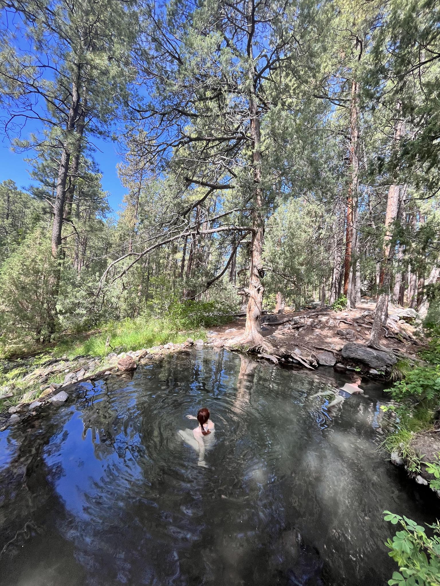 A person swims in a clear natural pool surrounded by tall trees.