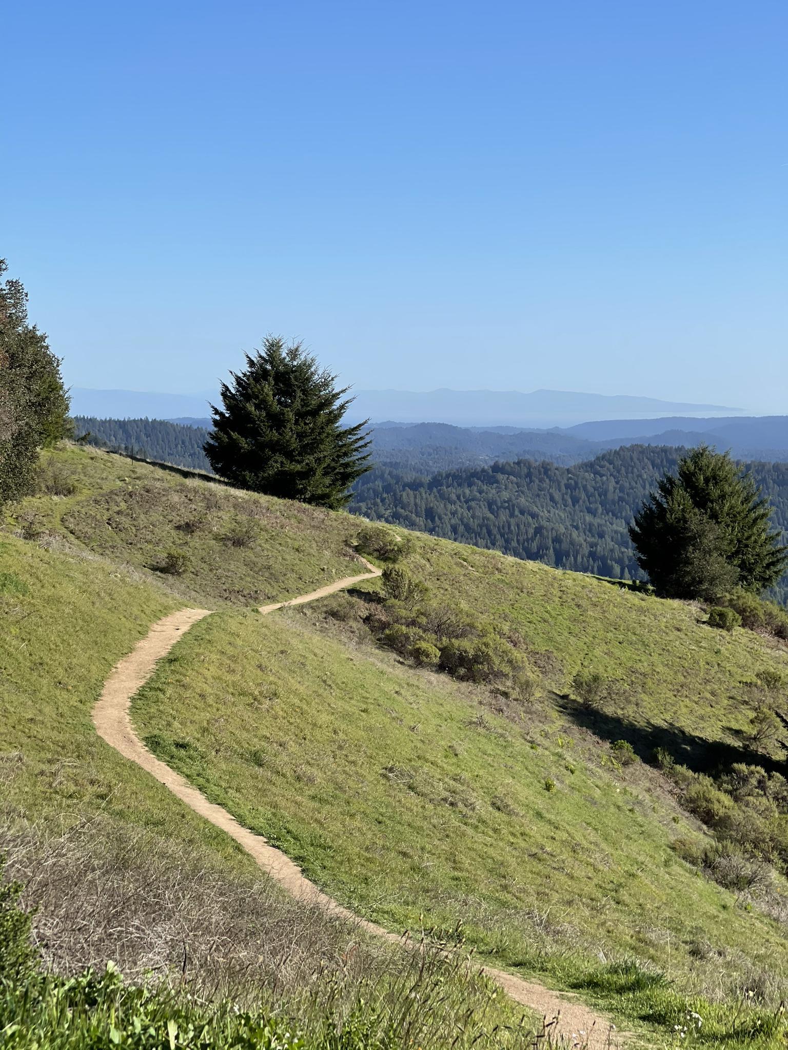 Winding dirt trail on a sunny green hillside with distant forested mountains.