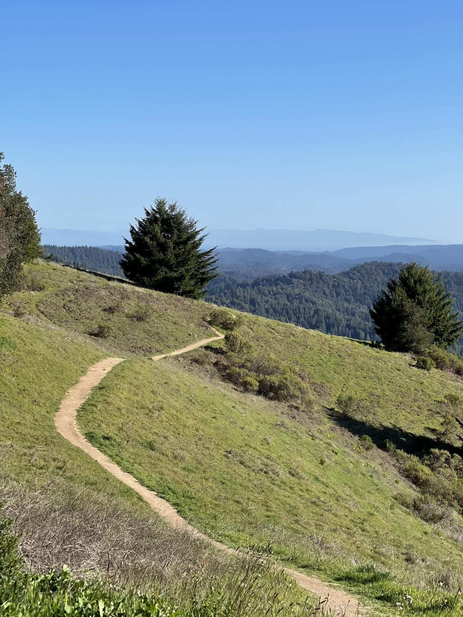 Winding dirt trail on a sunny green hillside with distant forested mountains. - Saratoga Toll Road Trail
