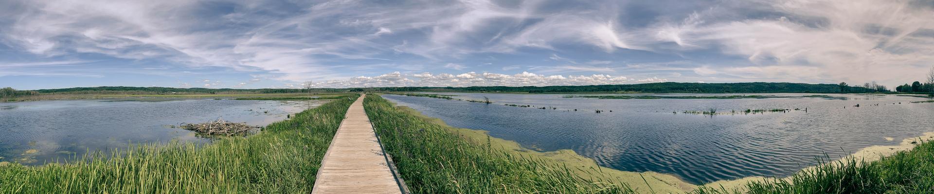 A long boardwalk extends into a vast wetland under a partly cloudy sky.