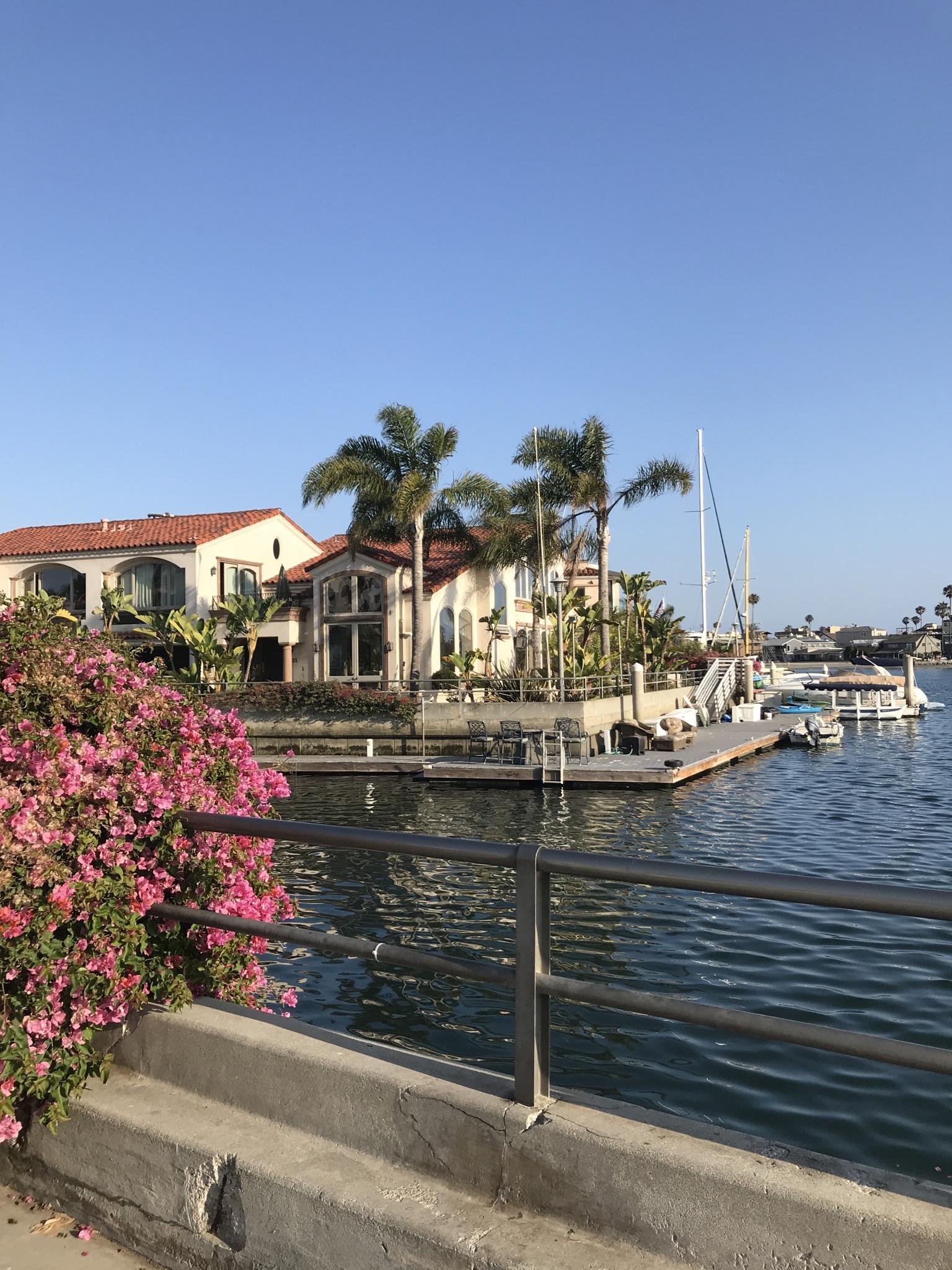Luxurious houses and boats along a sunny canal with vibrant pink flowers.