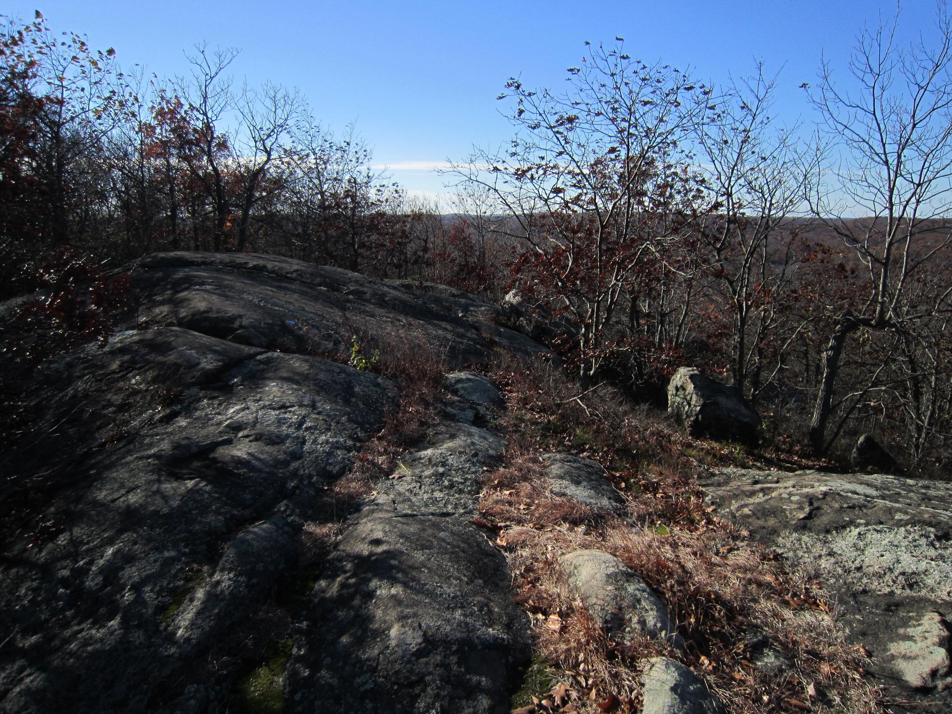 Rocky outcrop with sparse trees overlooking a distant, hazy forested landscape.