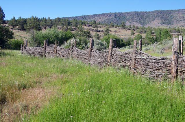 A rustic wooden fence stretches across a vibrant green, sunny field.