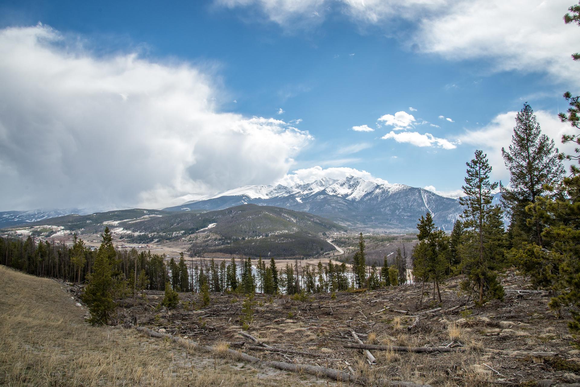 Panoramic view of a snow-capped mountain, forest, and lake under cloudy sky.