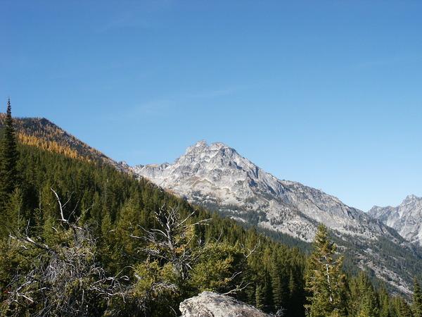 Rocky mountain peak rises above a dense evergreen forest under a clear sky.
