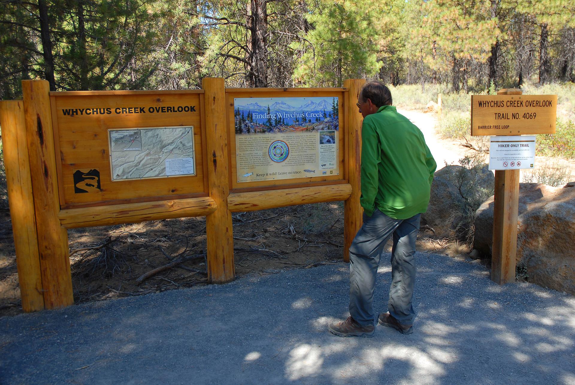Person in green shirt reading an outdoor information board in a sunny forest.