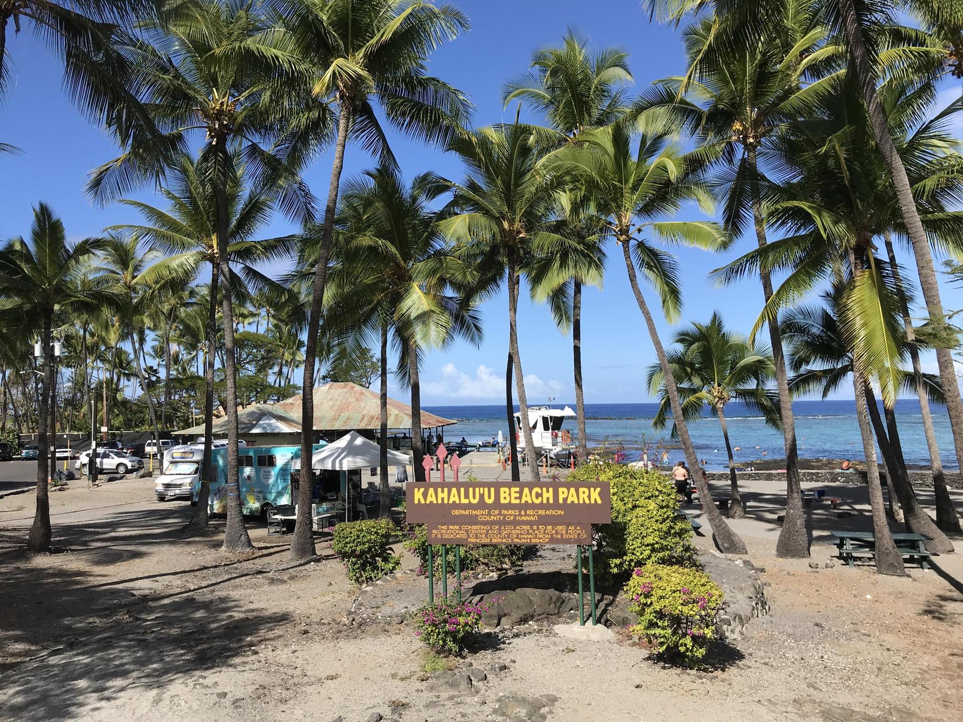 Sunny tropical beach with numerous palm trees, blue ocean, buildings, and a sign.