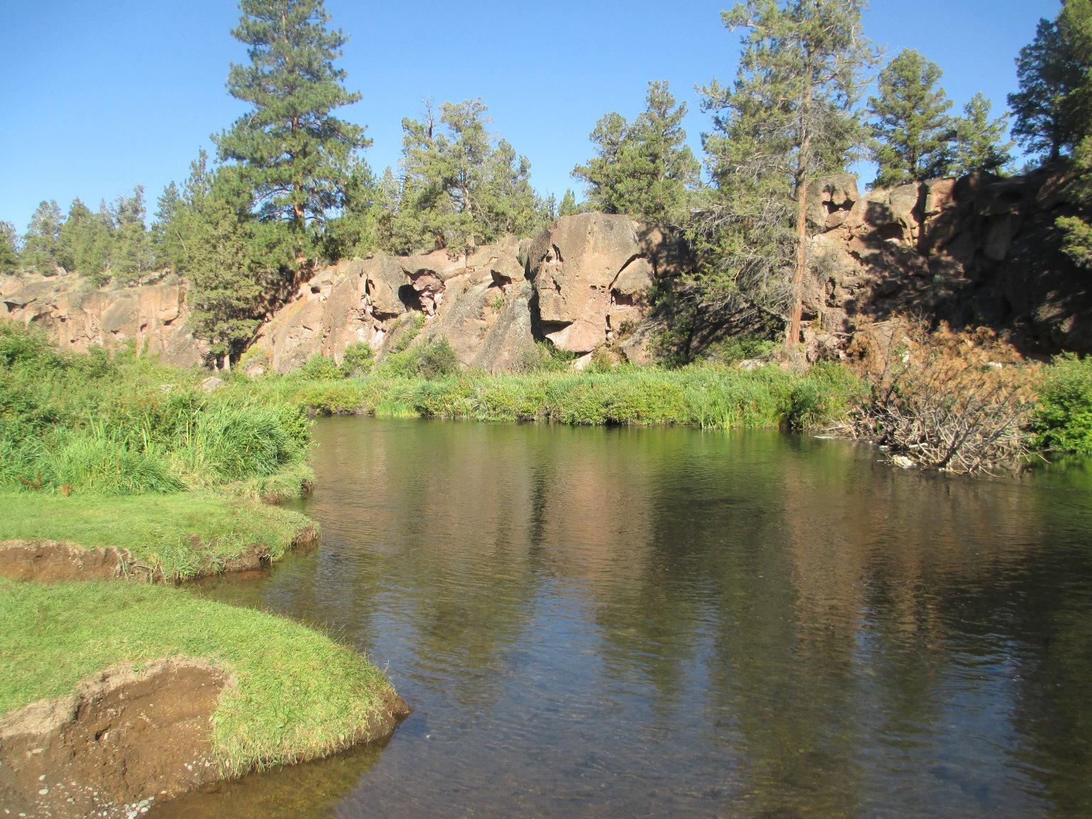 Calm river with grassy banks, rocky cliffs, and pine trees under blue sky.