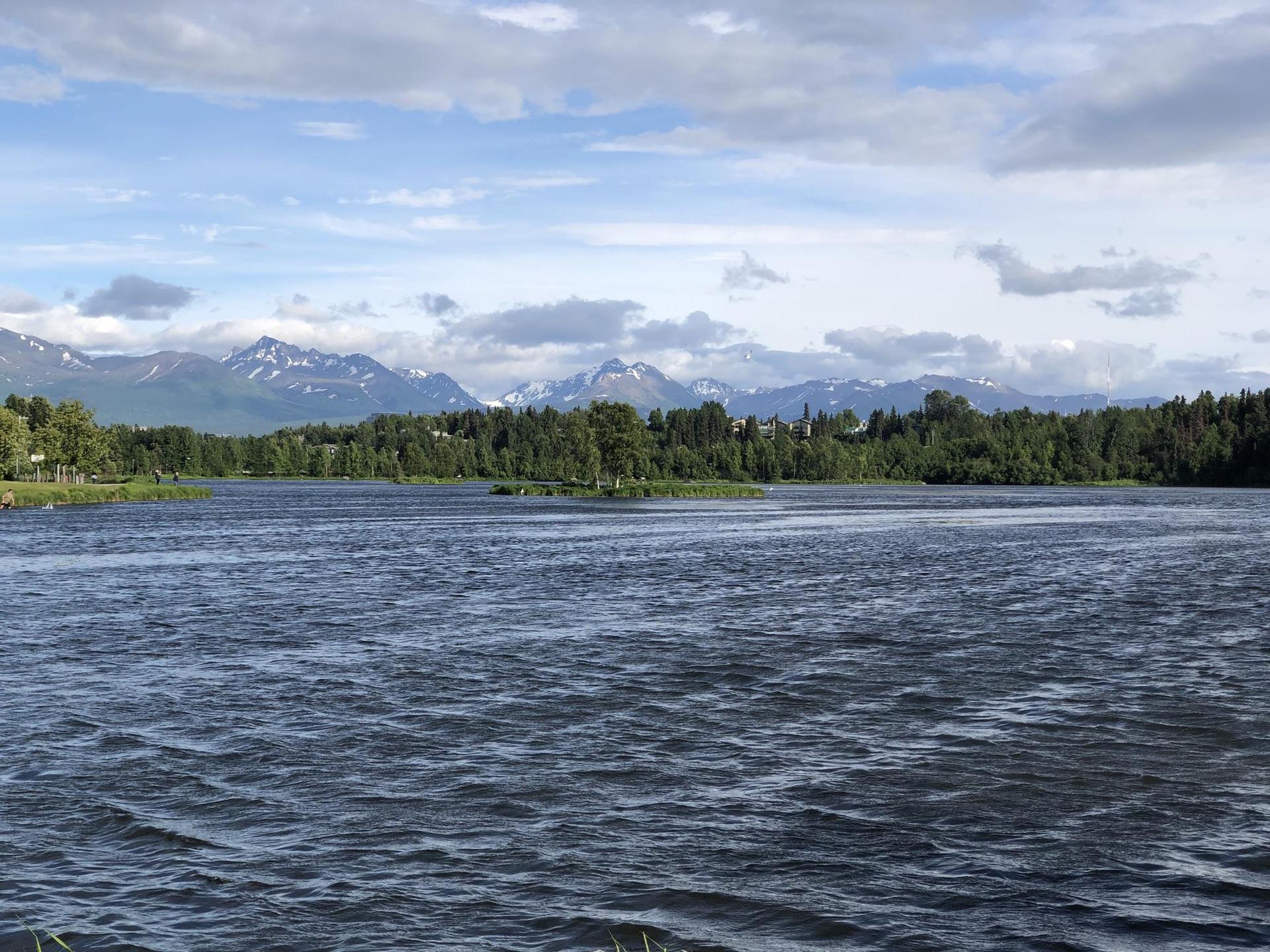 Choppy water in foreground with green forest and snow-capped mountains under clouds.