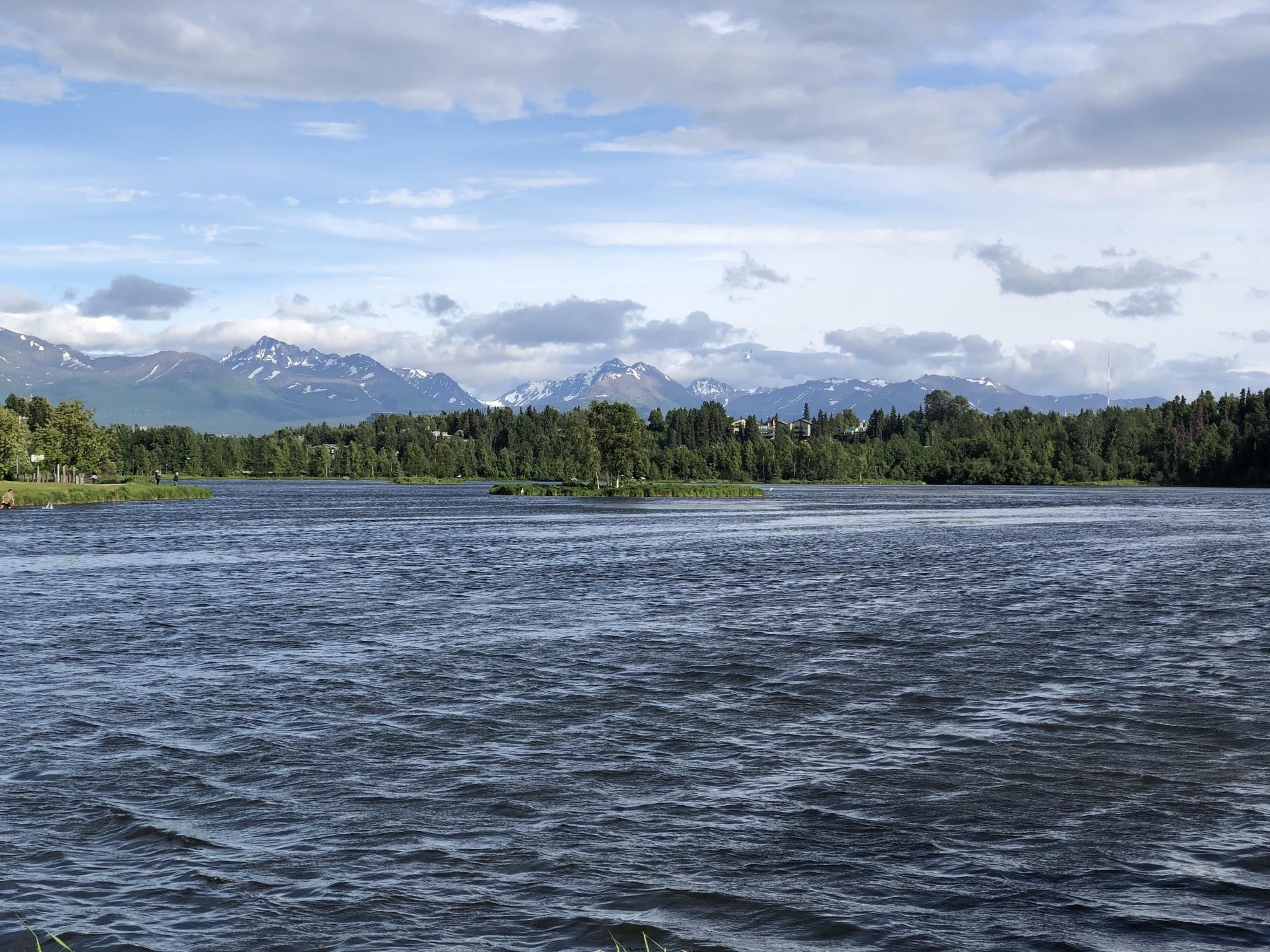 Choppy water in foreground with green forest and snow-capped mountains under clouds. - Tour of Anchorage loop