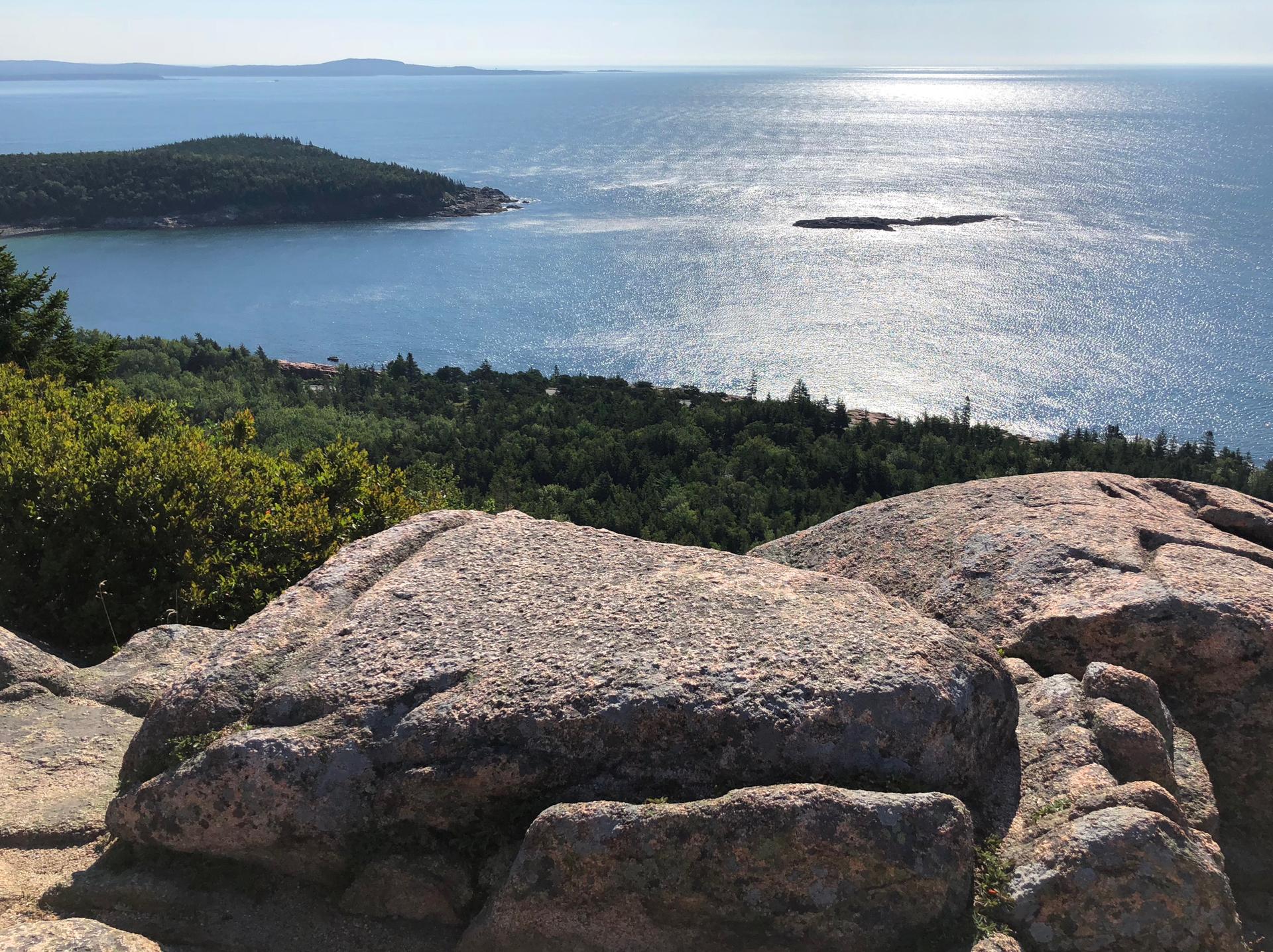 Sunny coastal view from rocky peak, ocean reflecting sunlight, forested land.