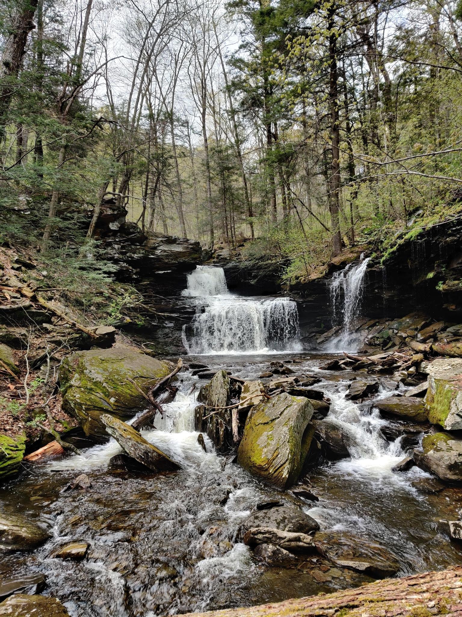 Multi-tiered waterfall cascading into a rocky stream in a lush forest.