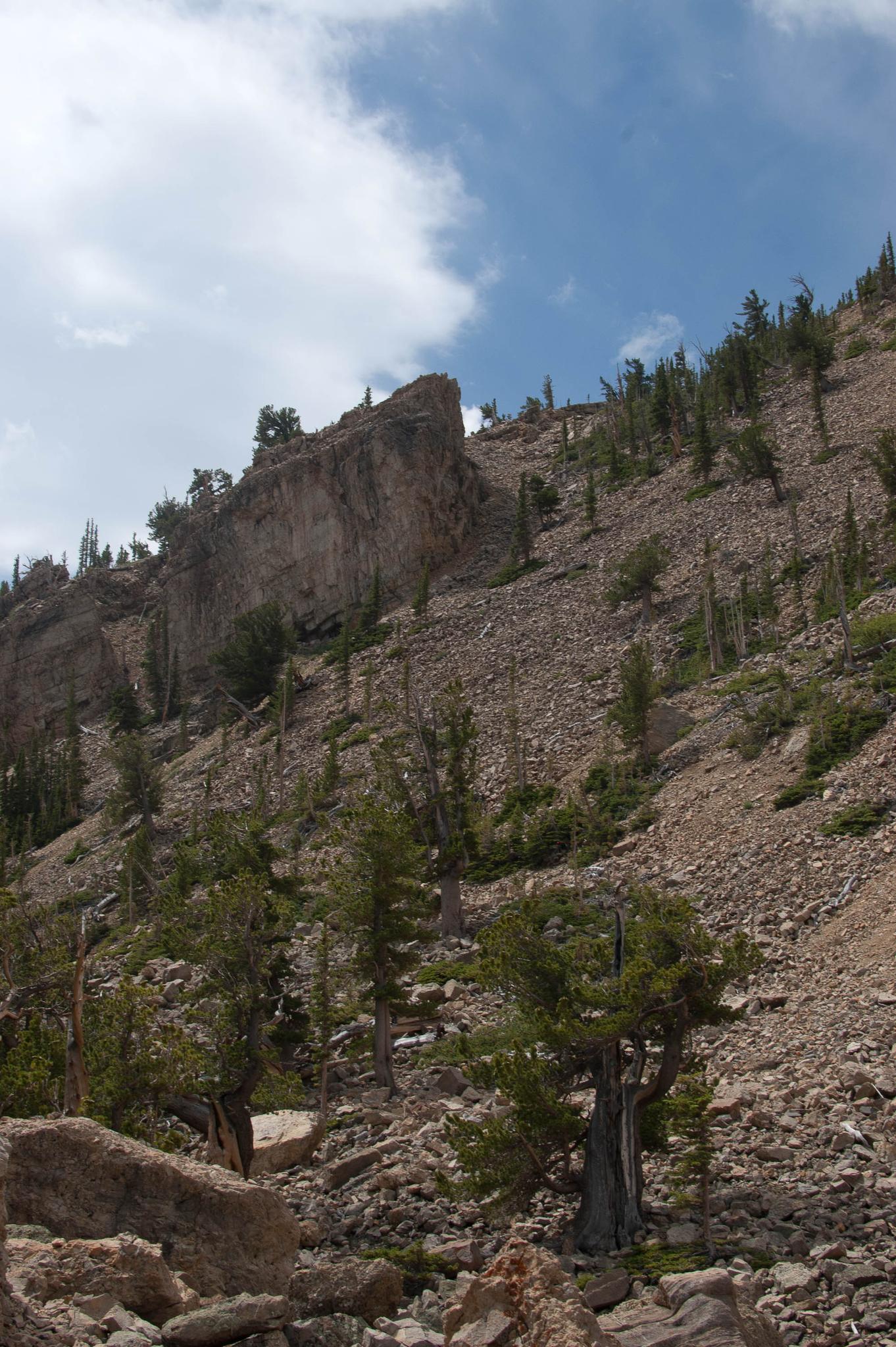 Rocky mountain hillside with sparse trees and a prominent cliff under a bright sky.