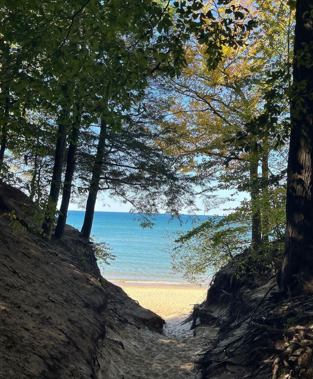 Sandy path through a forest opening onto a bright, sunny beach. - Old Mission Loop
