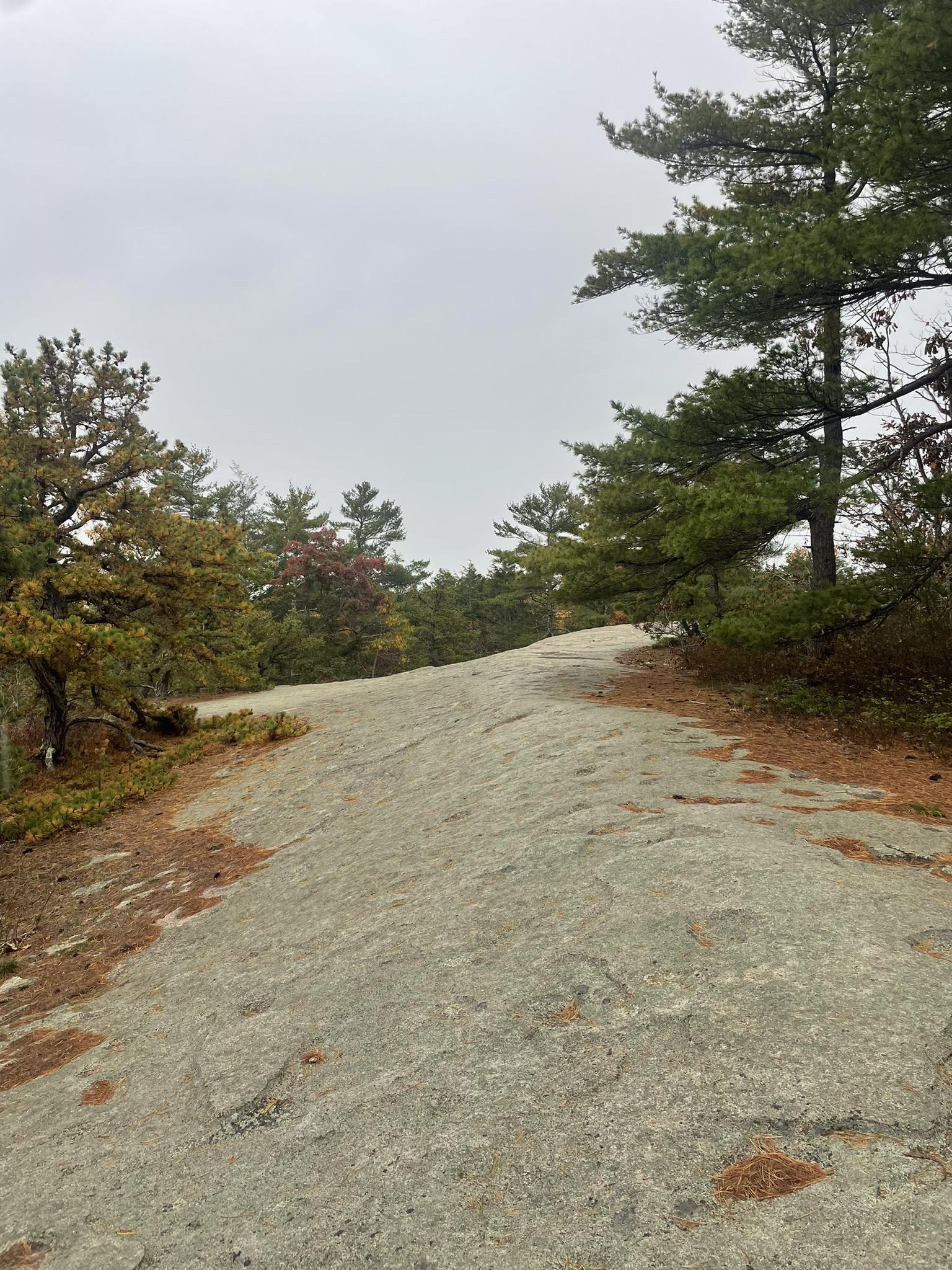 Overcast view of a large, gray rock slab bordered by green and autumn trees.