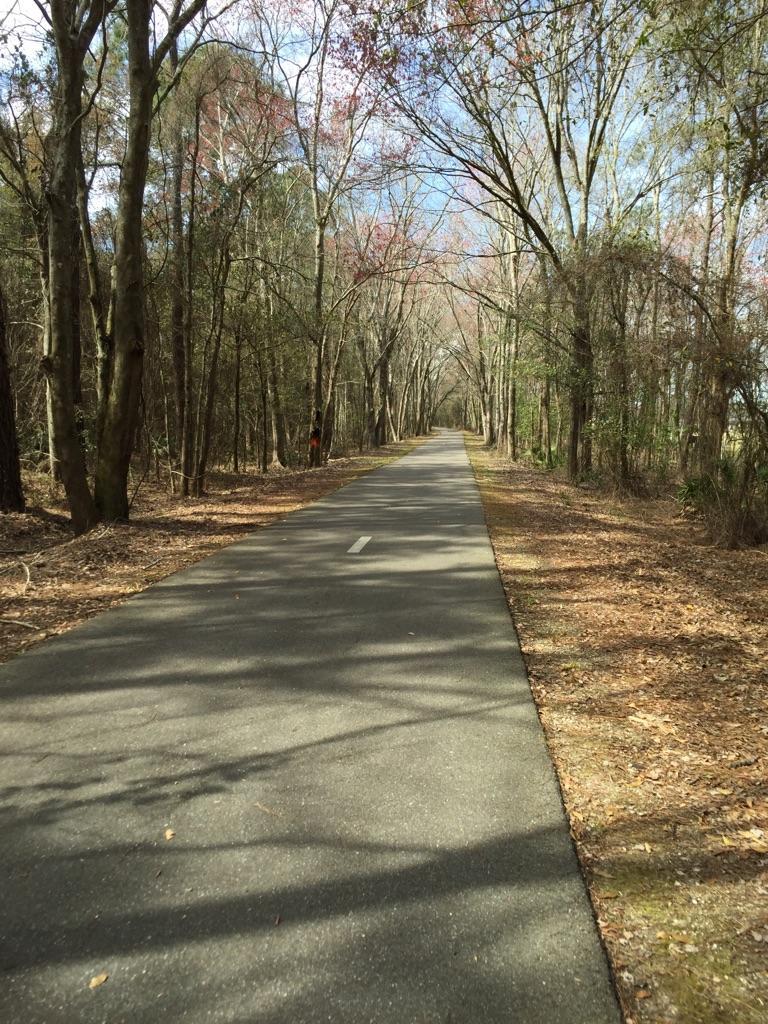 Paved path through a forest with tall trees and autumn leaves on the ground.