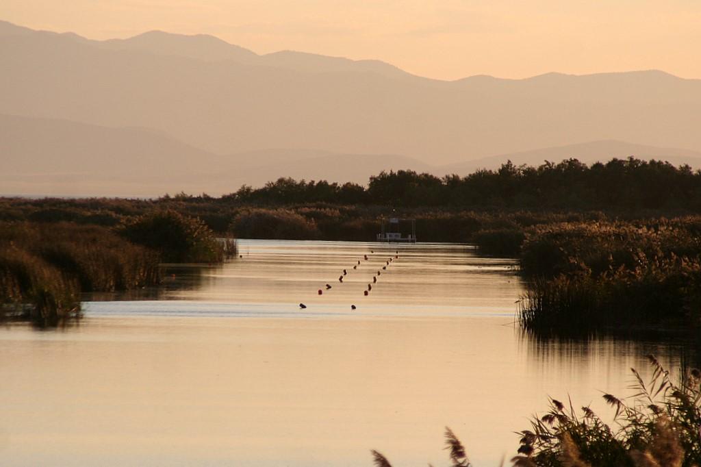 Golden hour light illuminates a narrow river winding through tall marsh reeds.